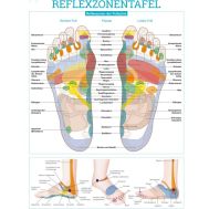 Reflexzonentafel